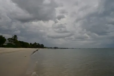 DSC_5430 (Large).JPG